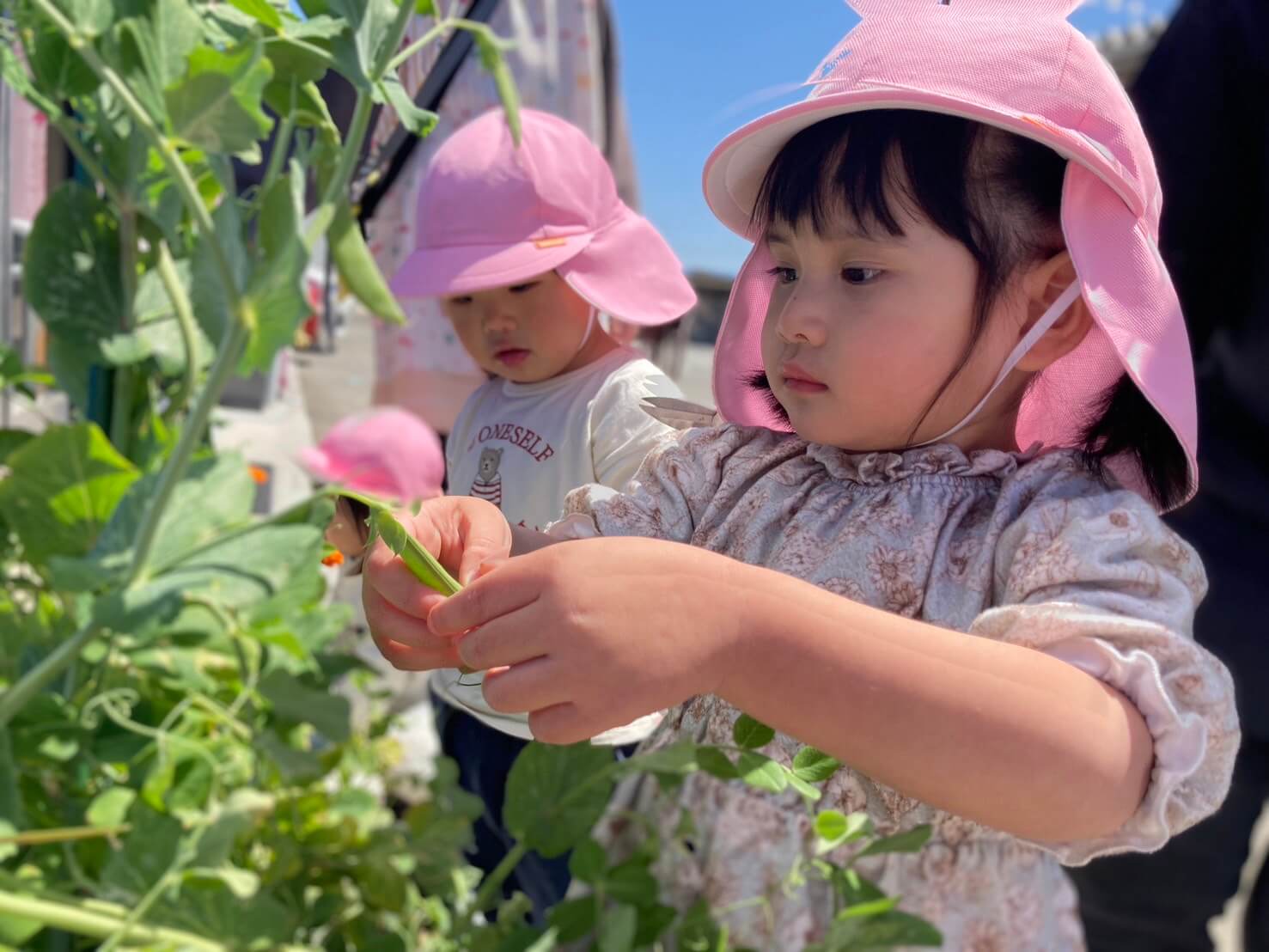 04月の子どもたちの写真5